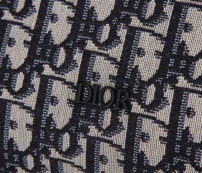 wholesale quality christian dior backpack oblique 93328 classic pattern