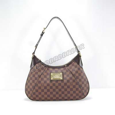 Louis Vuitton N48181 Coffee