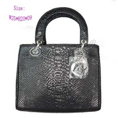 Christian Dior Handbag-9926heislinw_99