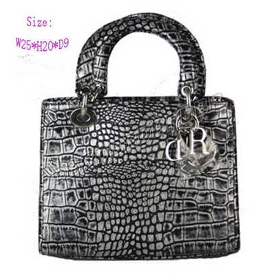 Christian Dior Handbag-9926yinhsw_101