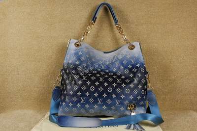 Louis Vuitton M95130 blue