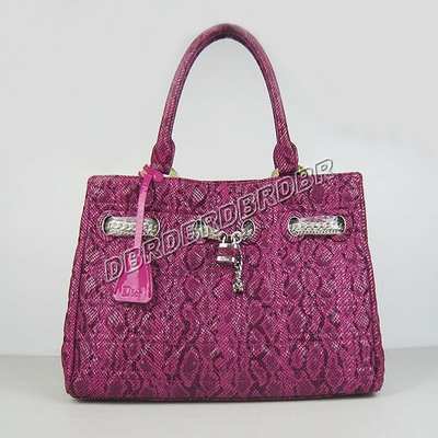 Christian Dior Handbag-1885fenhon_227
