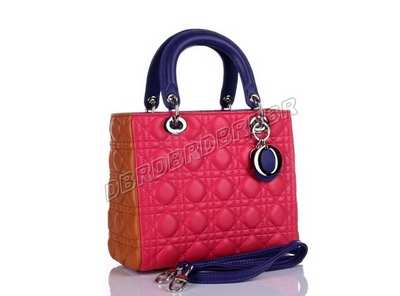 Christian Dior Handbag-6322pinsy_354