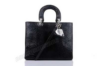 Christian Dior Handbag-6323heisY_437