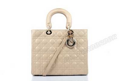 Christian Dior Handbag-6323xingJ_454